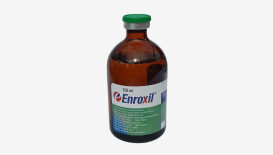 Enroxil 10%