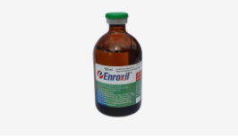 Enroxil 5