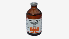 Genta 5%