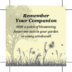 Gateway Seed Packets