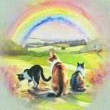 Cat Rainbow Sympathy Cards
