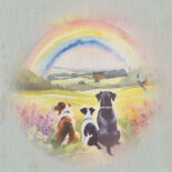 Dog Rainbow Sympathy Cards